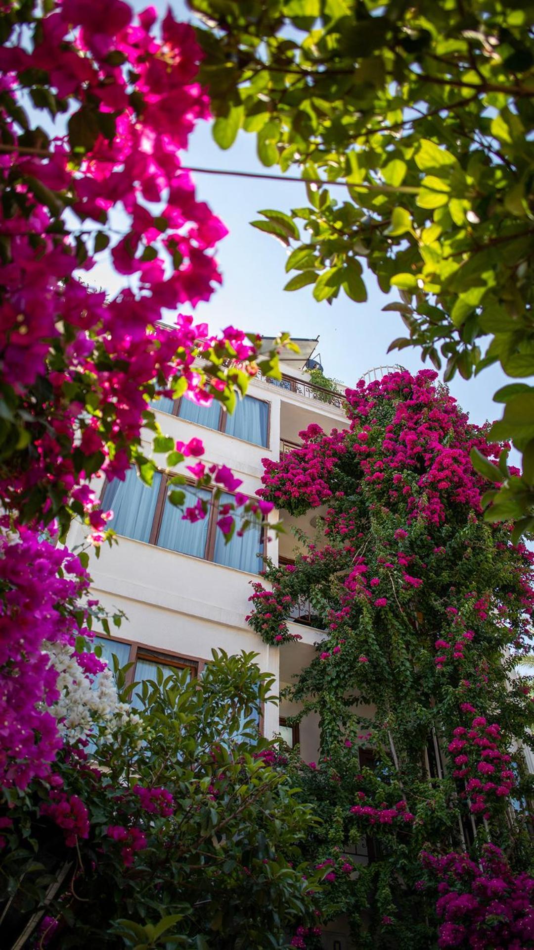 Patron Hotel Анталия Екстериор снимка